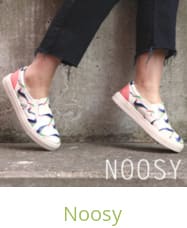 Noosy