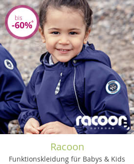Racoon
