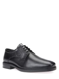 Geox Herren Schnürschuhe günstig | 80% Outlet SALE Geox Herren Schnürschuhe günstig | 80% Outlet SALE